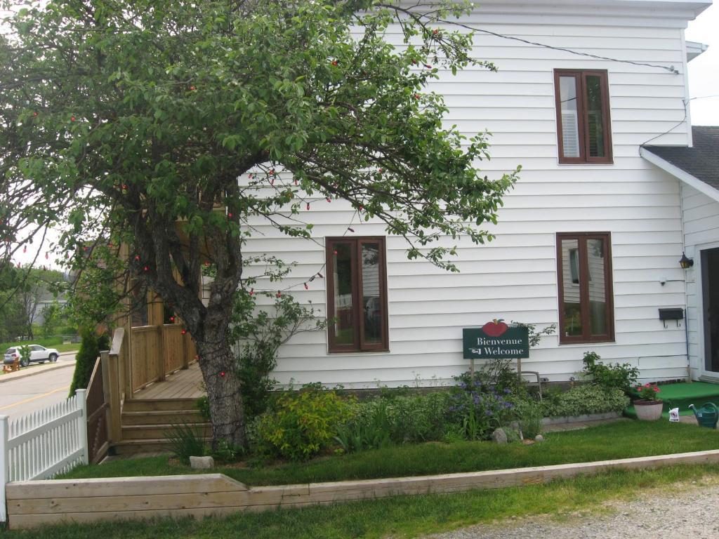 Gite Au Vieux Pommier Tadoussac Exterior foto