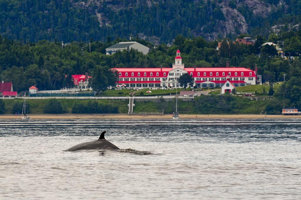 Gite Au Vieux Pommier Tadoussac Exterior foto